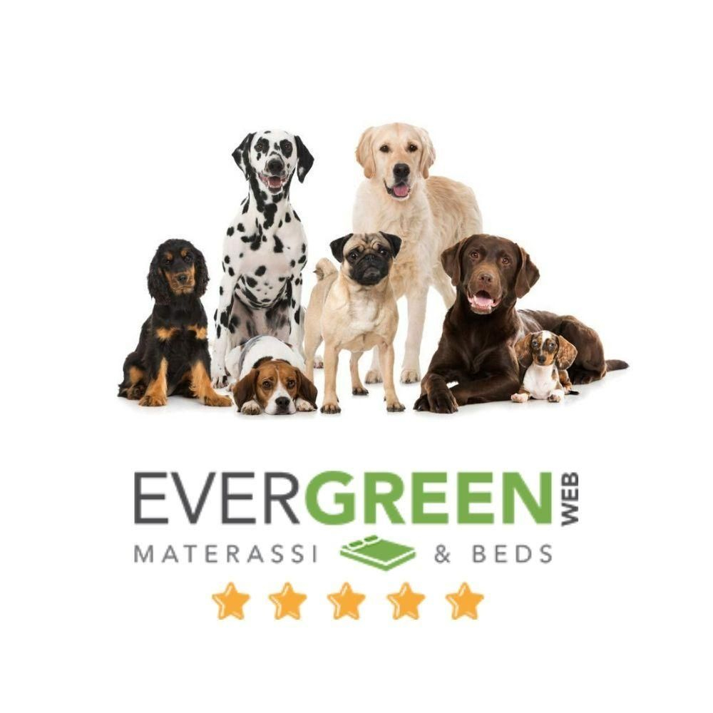 Materassino per Cani color Verde REX - 8