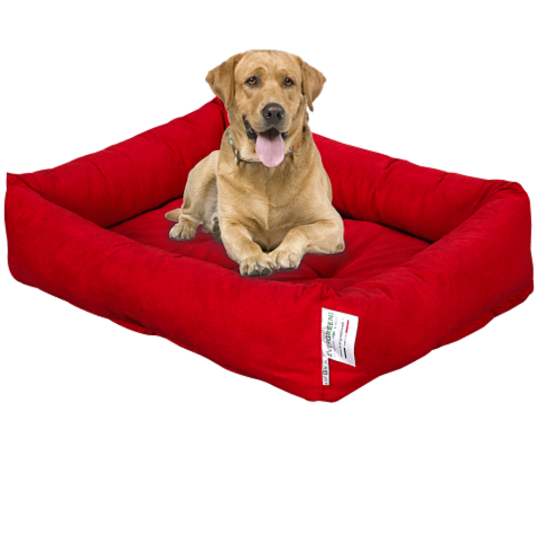 EVERGREENWEB - Materassino per Cane Imbottitura in MEMORY FOAM