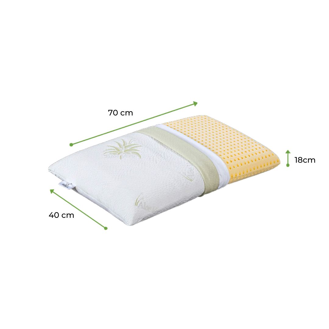 Cuscini Memory aloe vera alto 18 cm - 2 Cuscini Memory aloe vera alto 18 cm - 2